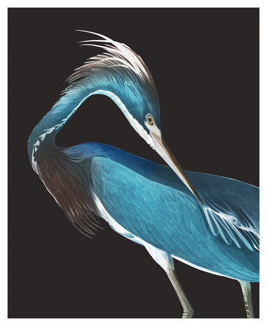 33.5x41.25_heron_the_picturalist_wall_art-1