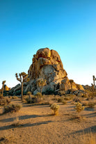 40 x 60 alessandro-rossi-FZlXXz5vlSs-unsplash copy