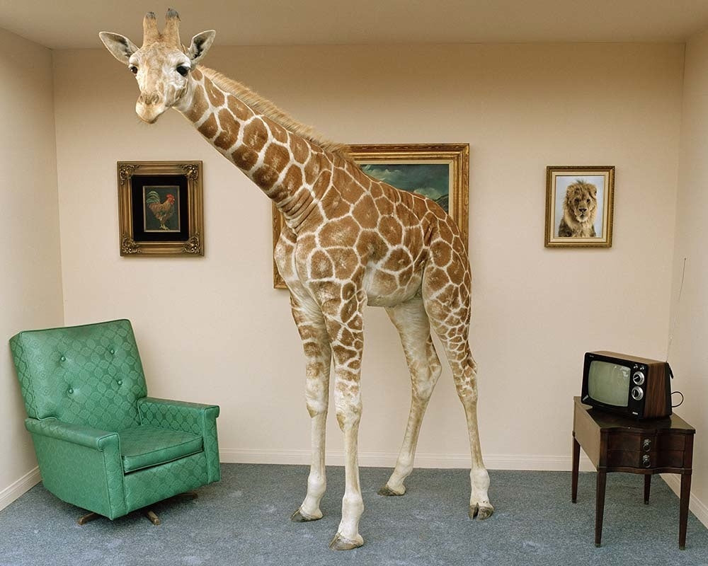 40x32-gettyimages-200355507-001-the-picturalist-wa