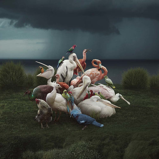 40x40_GettyImages-1286189445_the_picturalist_wall_art_web (1)