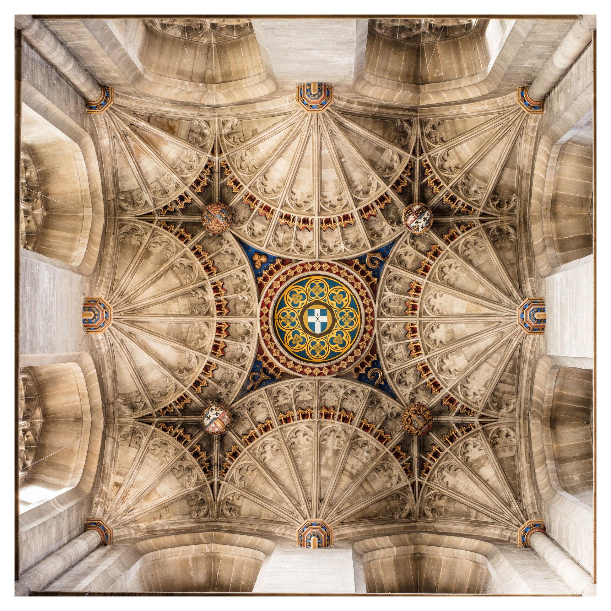 40x40_michael-d-beckwith-599305-unsplash