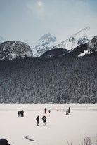 40x60_alec-favale-lZwC1nRmhqI-unsplash_the_picturalist_wall_art_web