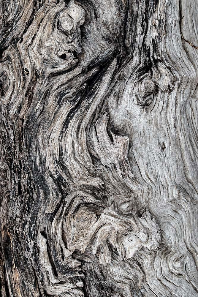 40x60_david-clode-8KbzBHA3ENc_the_picturalist_wall_art_web