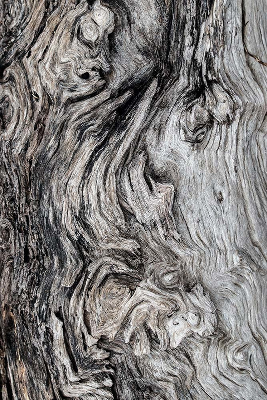 40x60_david-clode-8KbzBHA3ENc_the_picturalist_wall_art_web