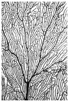 40x60_enric_gener_210223-9C1A9762d_the_picturalist_wall_art