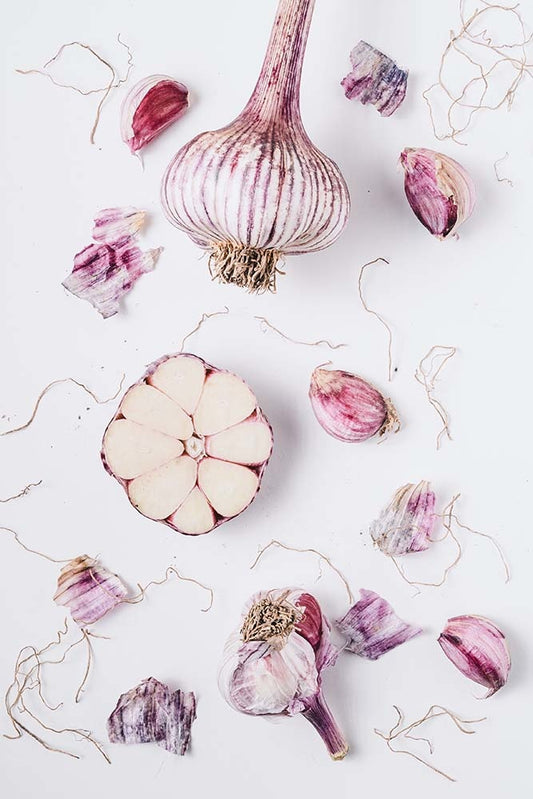40x60_Garlic_Deconstructed_the_picturalis_wall_art_web