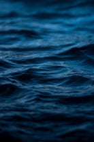 40x60_imleedh-ali-677414-unsplash_web(1)