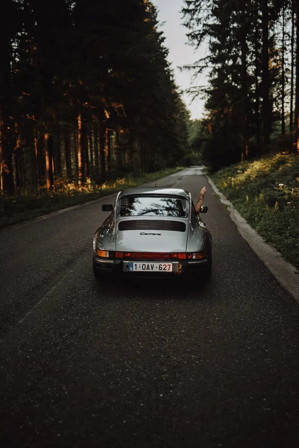 Vintage Porsche 911 Carrera driving on a forest road photographed from behind by Alex Meunier for The Picturalist