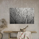 4371E688-F514-49B0-AE56-1D77F6A44A87