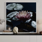 5A6FBFFD-4D8C-4001-9DB6-C06054EA51CA