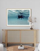 5BD2191B-B4ED-463A-912D-B89CACFAFF98