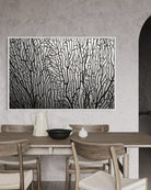 6055A8A2-0293-4B49-9CAD-CB58D25D54B3