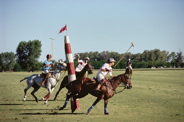 Polo in Buenos Aires by Slim Aarons | Equestrian Fine Art Photography Print