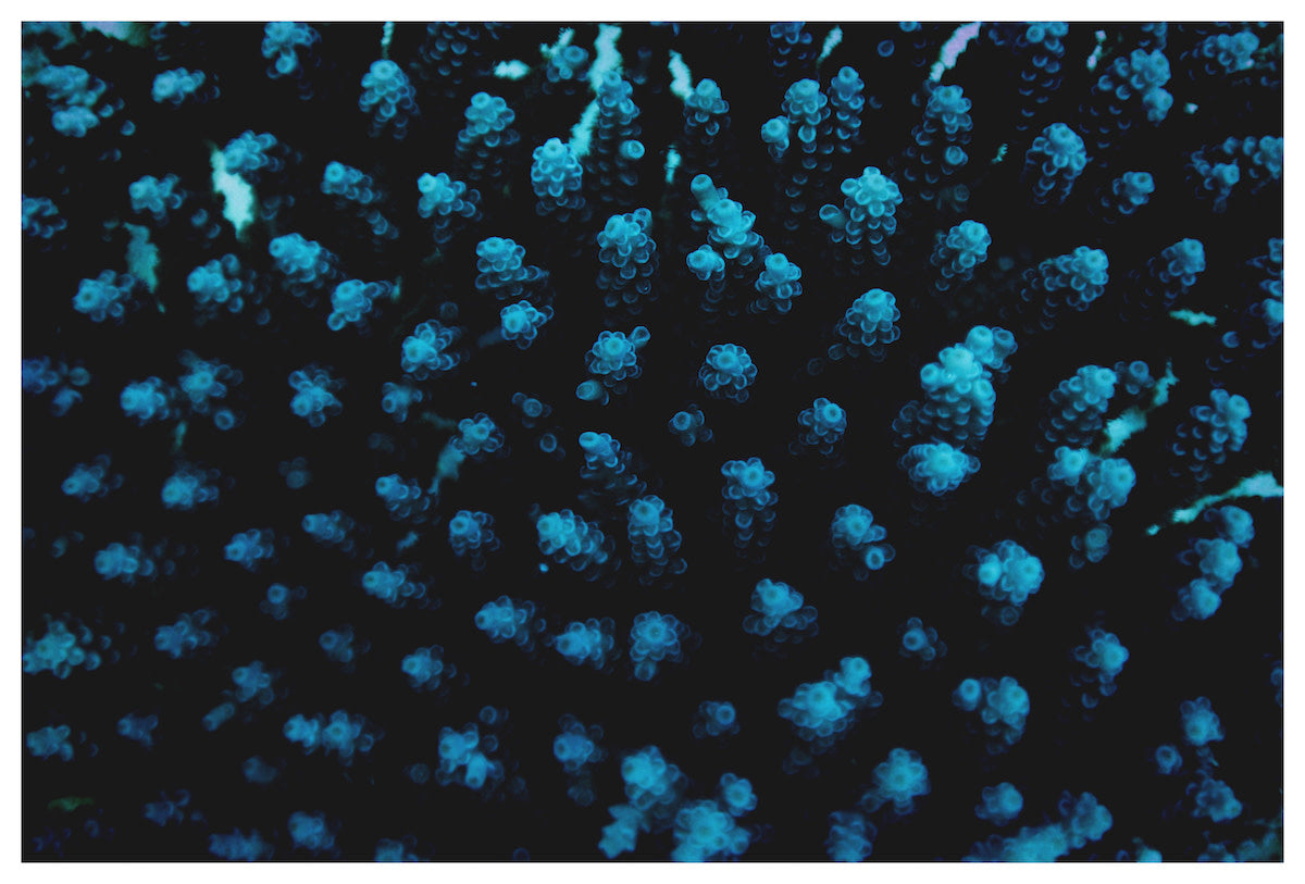 60x40_enric_gener_210305-9C1A7737c_the_picturalist_wall_art