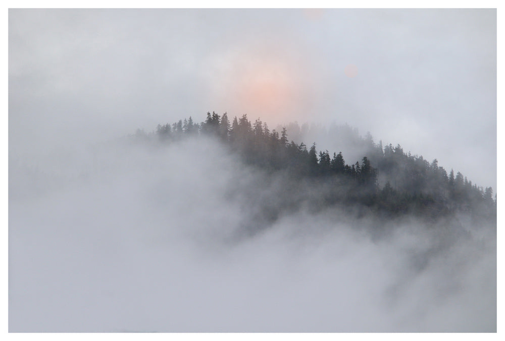 60x40_Lost and Found_the_picturalist_wall_art