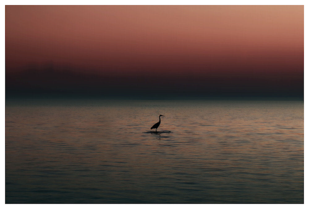 60x40_Night Life_the_picturalist_wall_art