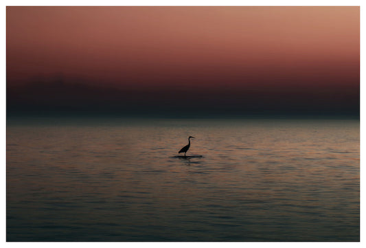 60x40_Night Life_the_picturalist_wall_art