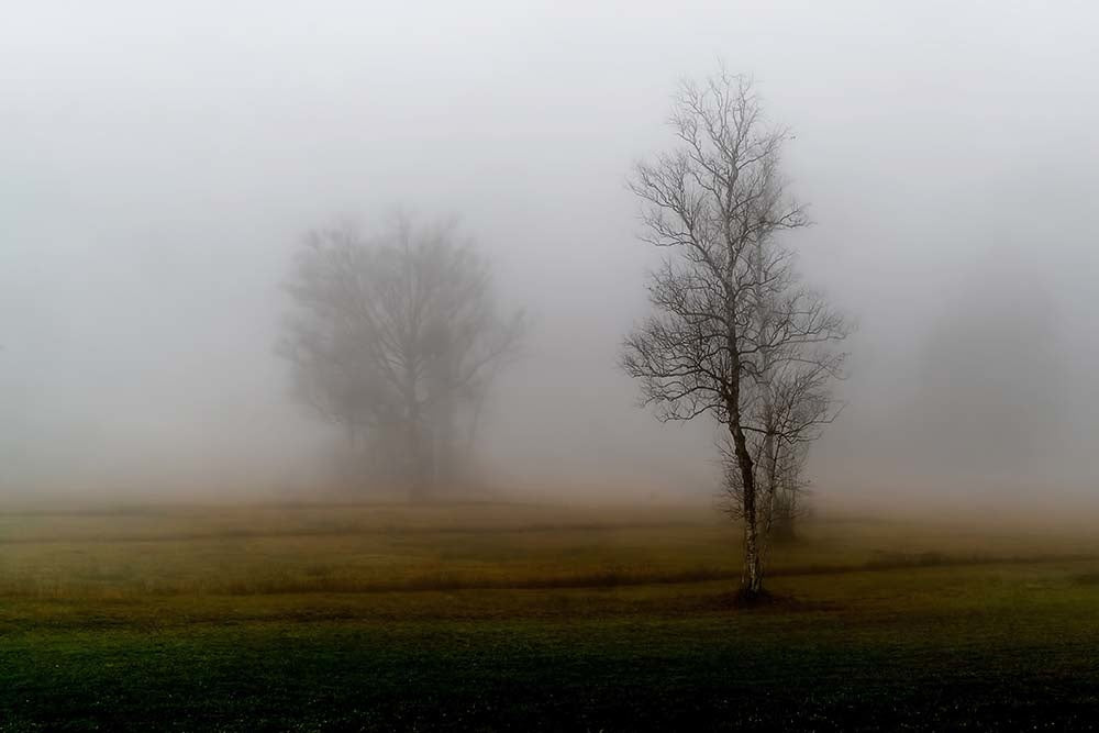 60x40_ricardo-gomez-angel-1180007-unsplash_web