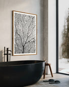 6A085EE6-D80B-4A2F-AA8F-8822D18E0343