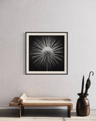 85D2B7E3-EA42-4CE1-99EF-64F414E7271F