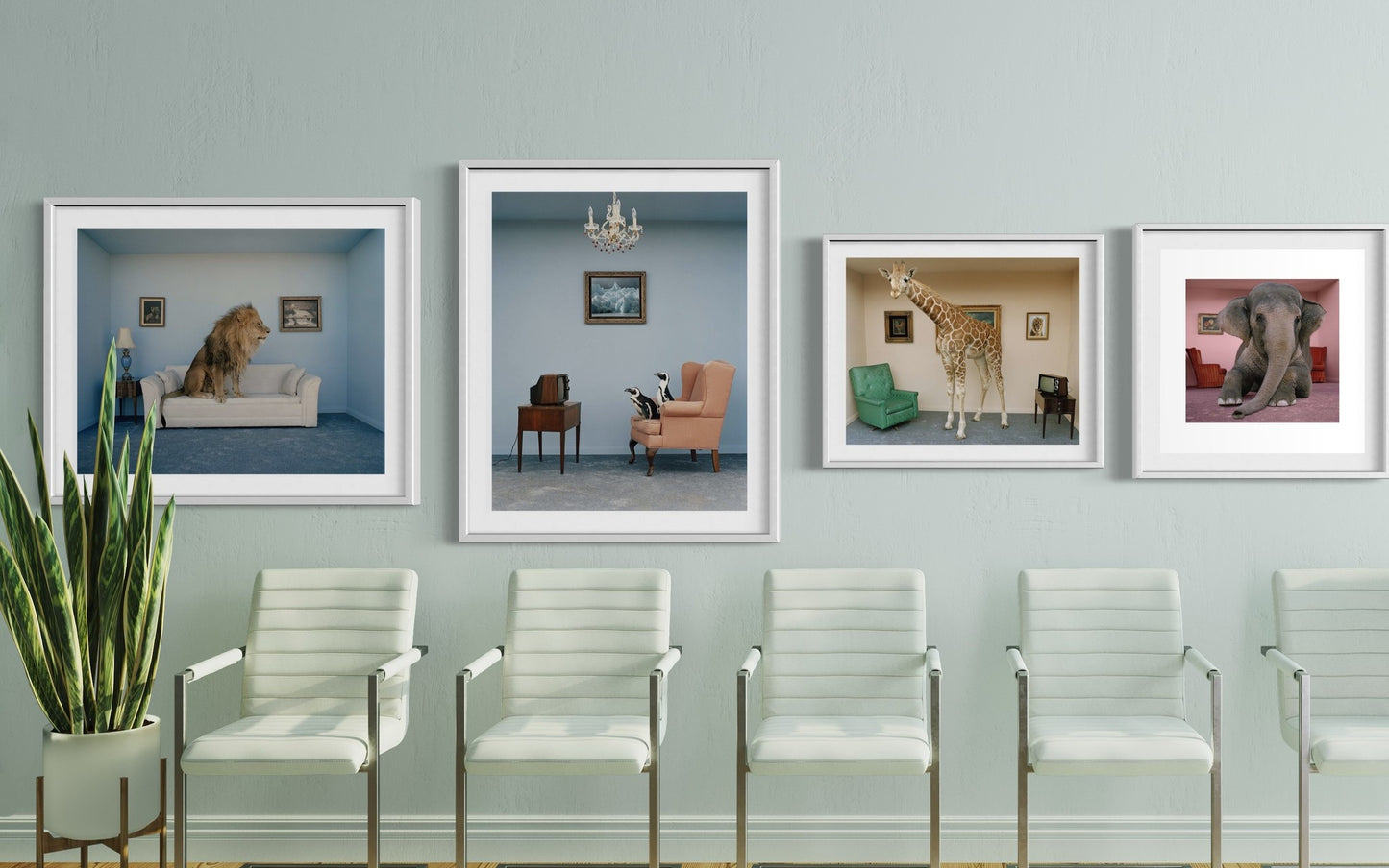 99E4BA9C-088A-4B7E-80E1-BDAE793277D5