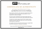 Certificate of Authenticity for an artwork published exclusively by The Picturalist.