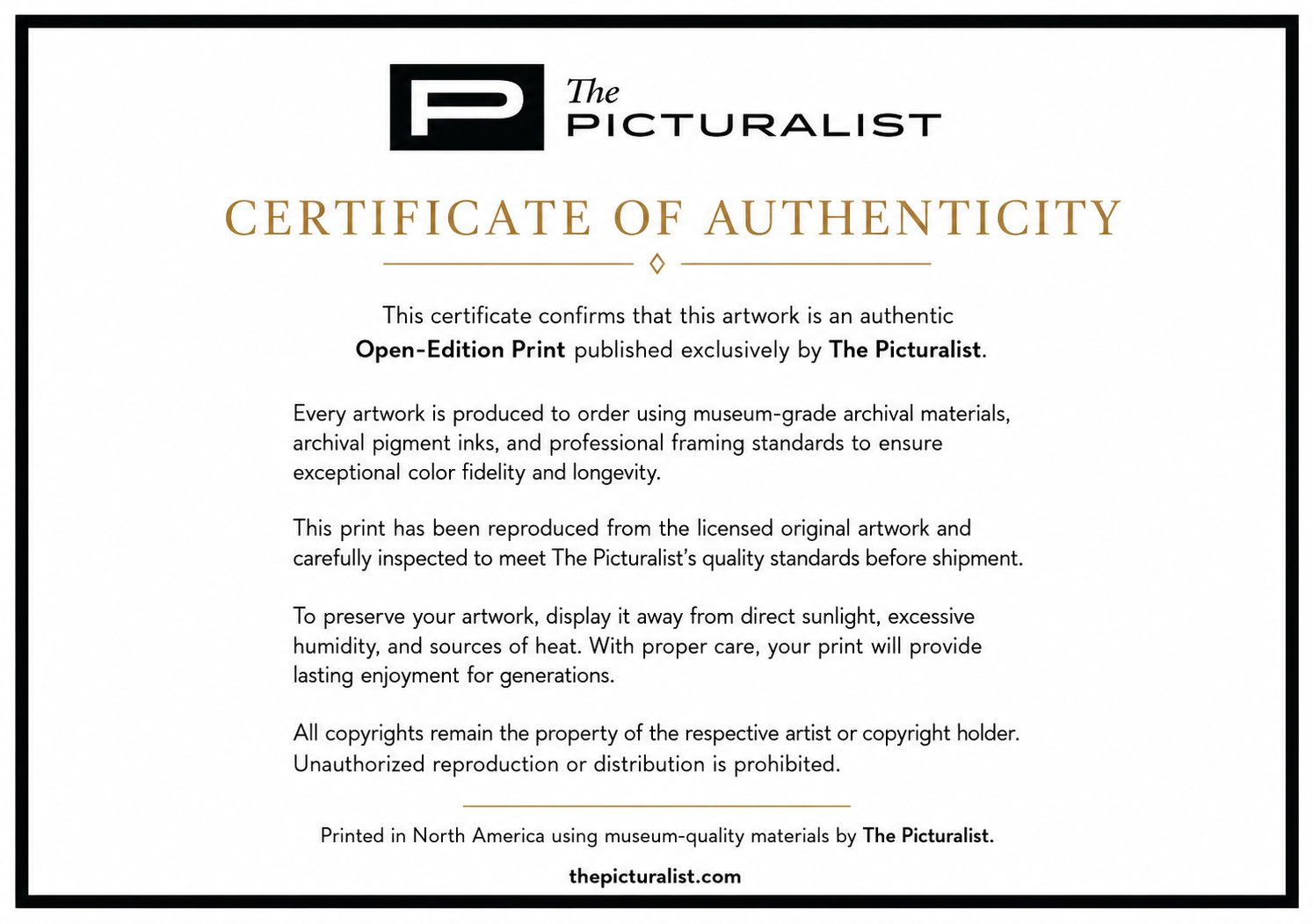 Certificate of Authenticity for an artwork published exclusively by The Picturalist.