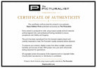 The Picturalist Open Edition Certificate of Authenticity for Castle Howard Michael Beckwidth
