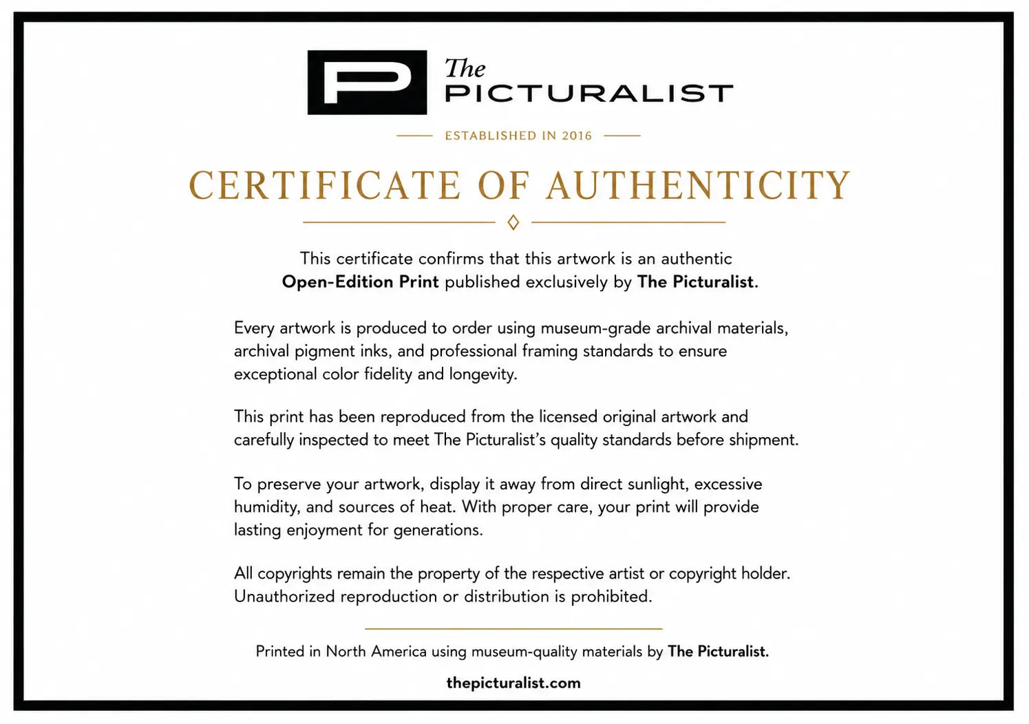 The Picturalist Open Edition Certificate of Authenticity for Fit In The Cities 9 Alejandro Franseschini