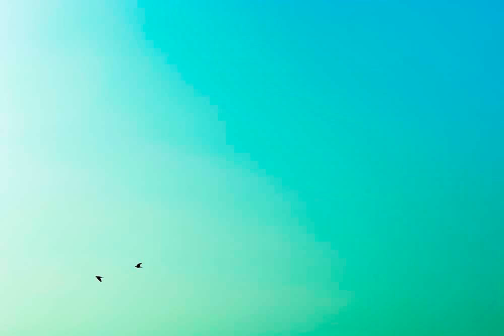 Gradient sky from blue to green with a pair of small black bird flying.