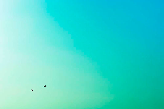 Gradient sky from blue to green with a pair of small black bird flying.