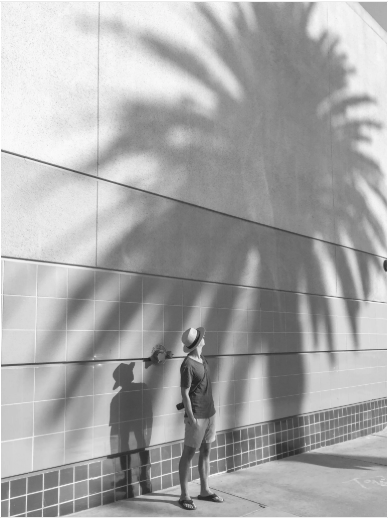 Person standing against a wall with palm leaf shadows