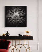 AB04FCB1-7C37-462A-B337-893FFAED8F8B