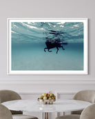 ADE8C32E-5D13-4486-B057-CFB9B2CCB1EC