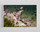 People sunbathing on rocks with colorful umbrellas near a body of water.