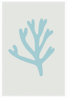 Blue Bay Marina Coral