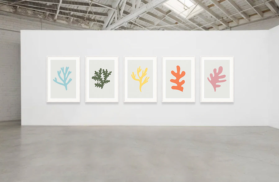 coral_group_context-1