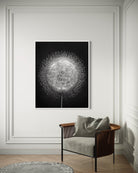 Crystal Radiolarian Elegance Framed art print The Picturalist_6127