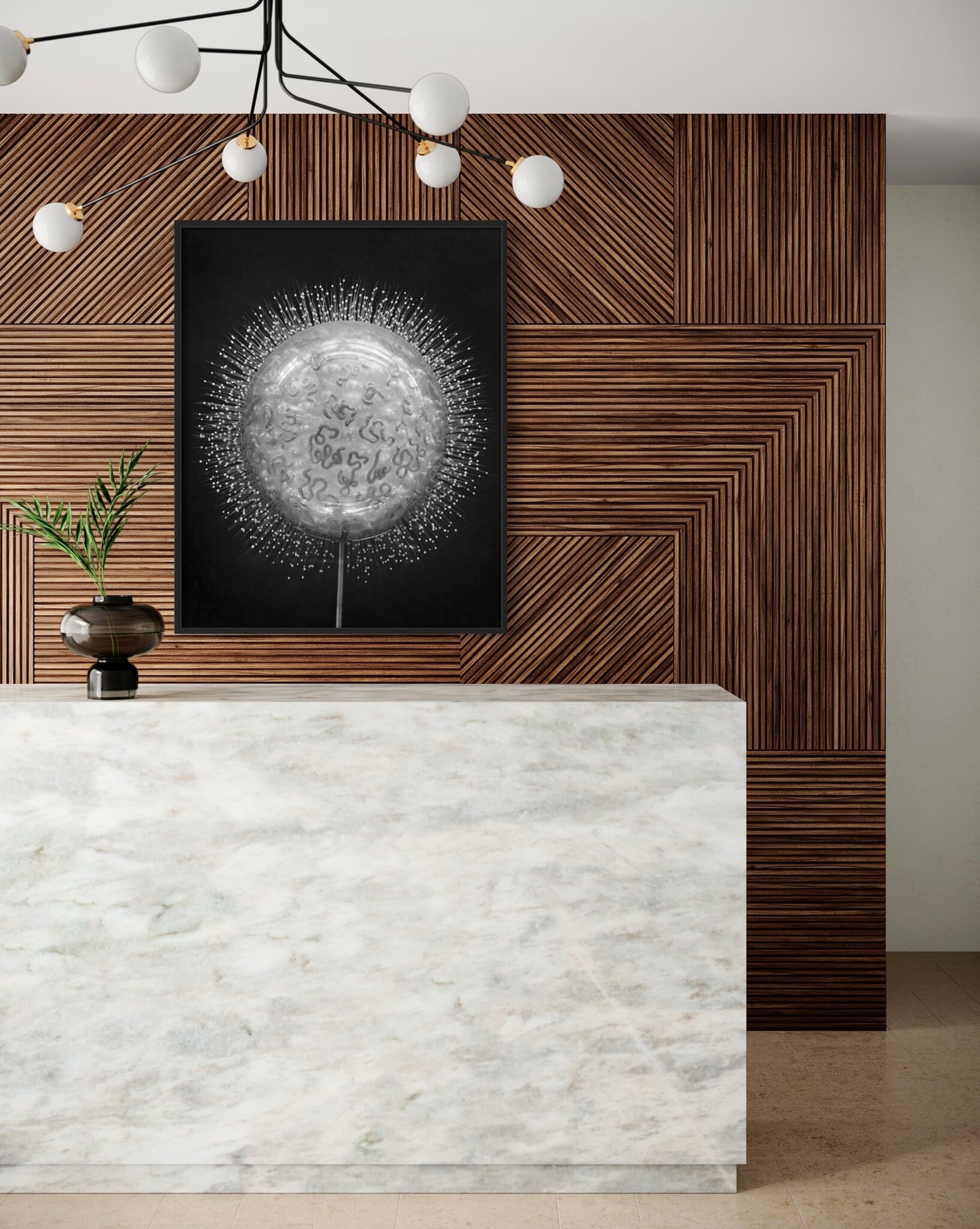 Crystal Radiolarian Elegance Framed art print The Picturalist_6130