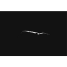 facemount-metal-nude-in-water-printed-on-brushed-m