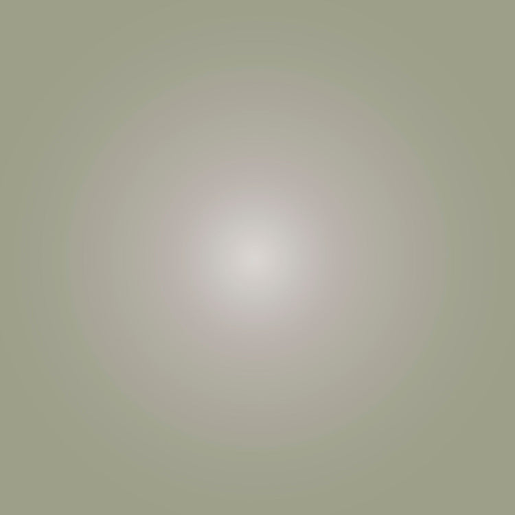 Halo in Sage by Alejandro Franseschini — abstract geometric wall art in sage tone