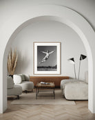 Framed art print The Picturalist_6088