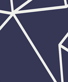 Framed Print Detail Logical