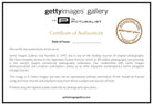 Gallery Certificate_the_picturalist