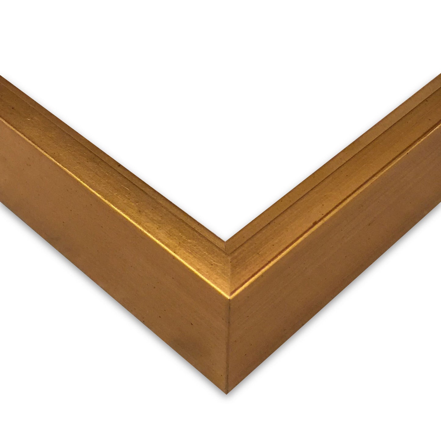 gilt_floater_frame_ThePicturalist