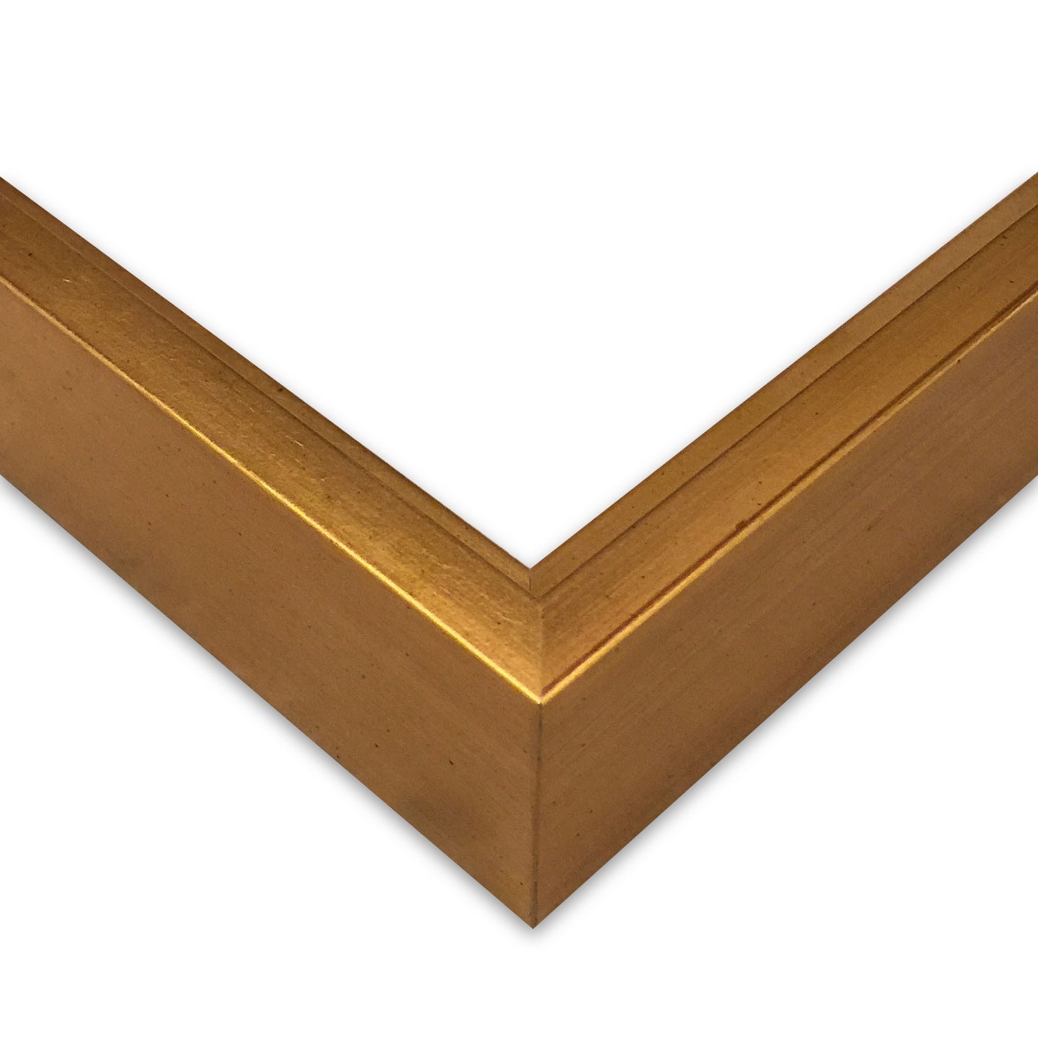 gilt_floater_frame_ThePicturalist