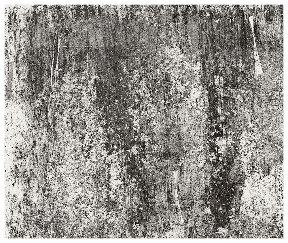 Low Res art56_62x52_sample1_snowwhite_black