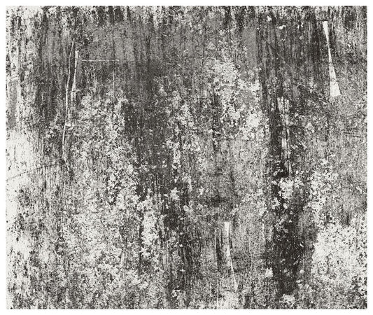 Low Res art56_62x52_sample1_snowwhite_black