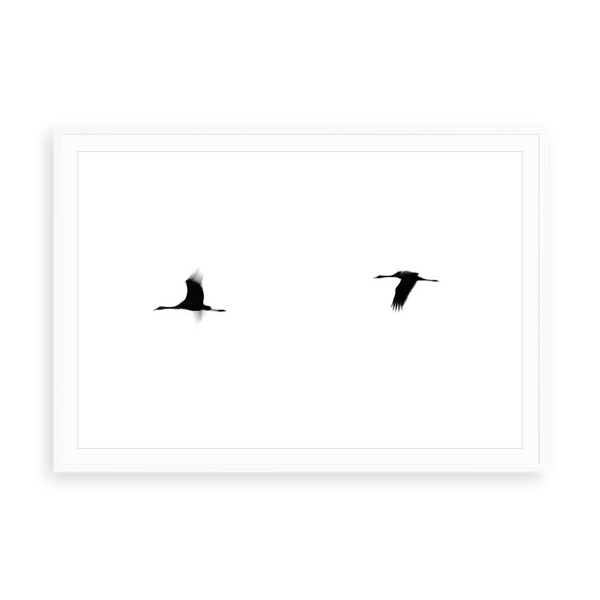 Cranes II by Tal Paz-Fridman — illustrative matte-white framed paper print with white mat; proportions vary by size.