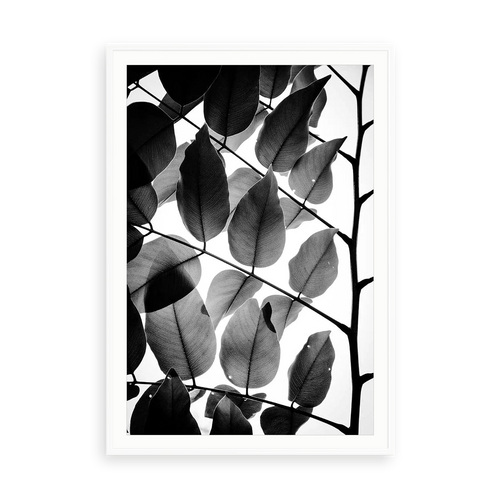 Branches and Leaves by Tal Paz-Fridman | Black and White Fine Art Photography Print